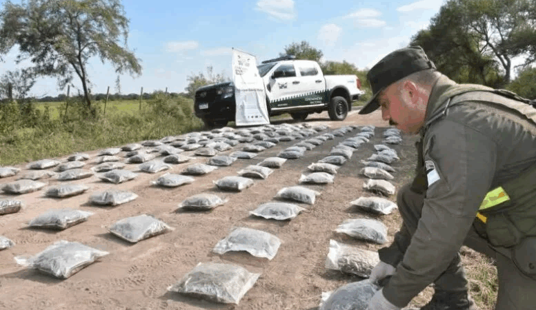 Santa Sylvina: más de 50 kilos de marihuana ocultos entre la vegetación