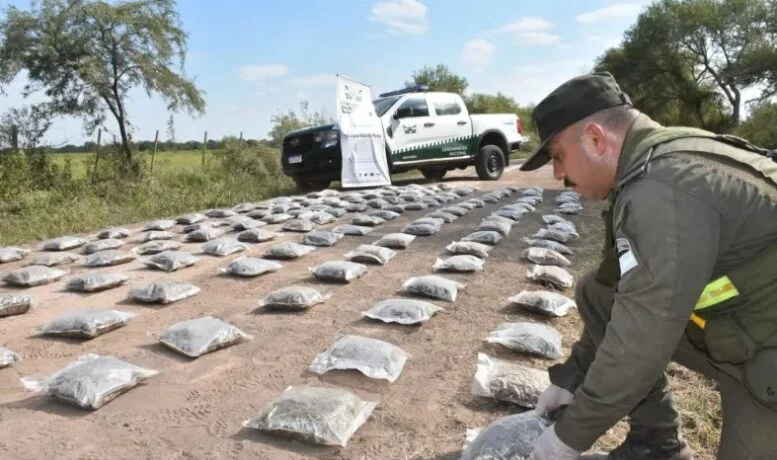 Santa Sylvina: más de 50 kilos de marihuana ocultos entre la vegetación