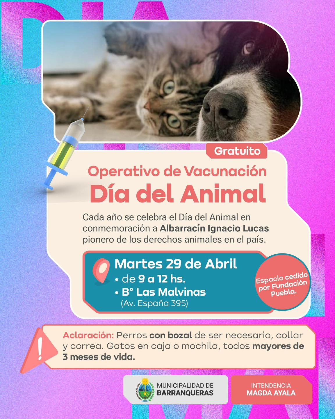 Operativo de vacunación en el Día del Animal en Barranqueras