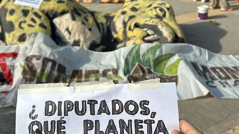 Tratan de legislar un ley sobre desmonte promovida por Bergia, vinculado a «la mafia del desmonte» y bajo investigación judicial