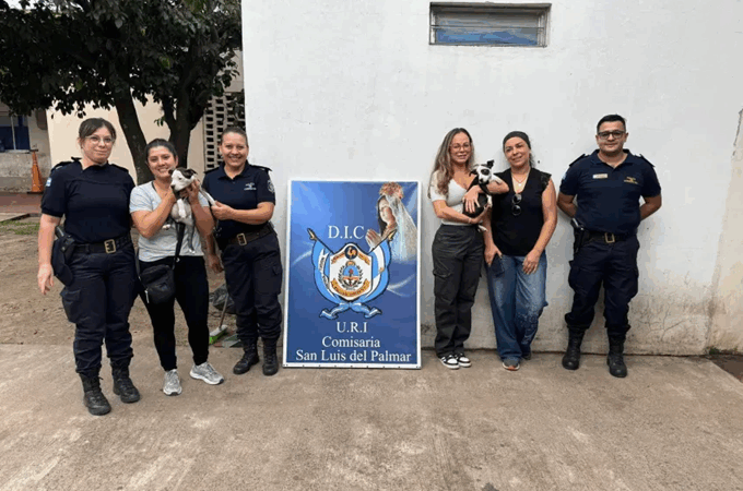 Un matrimonio acusado de ofrecer a la venta cachorros pitbull que tenia en custodia