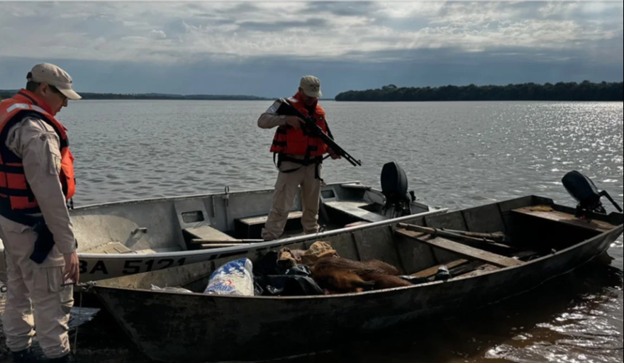 La Prefectura encuentra embarcación con 80kg de carne de carpincho