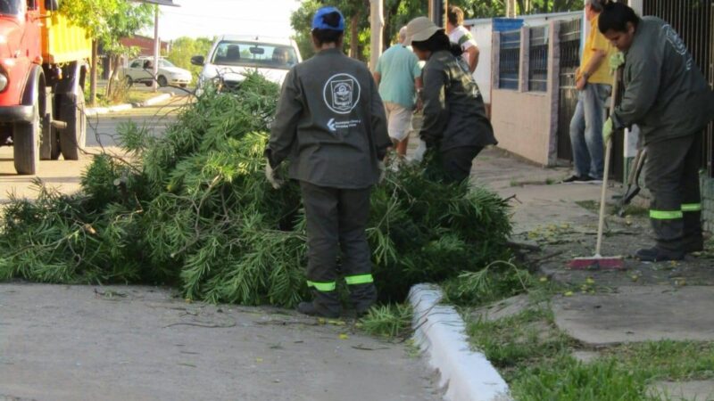 La Municipalidad de Vilelas trabaja en recolección de ramas