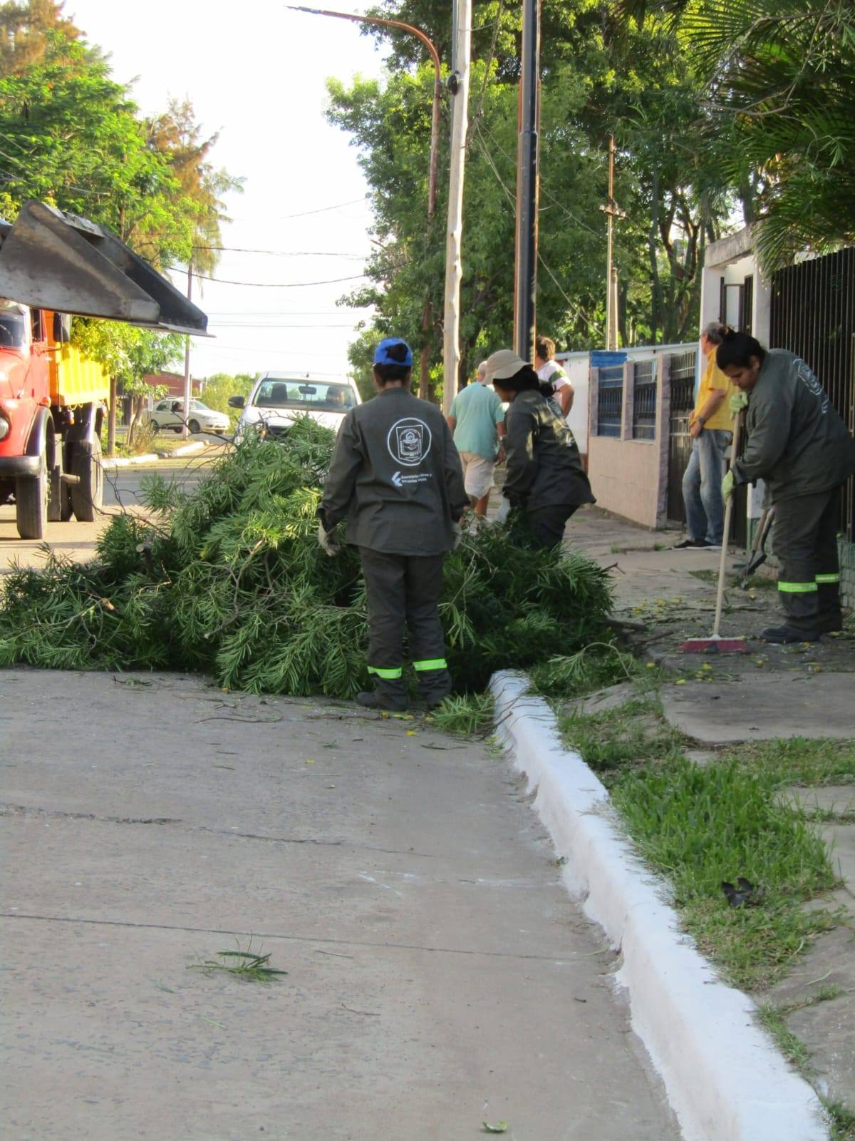 La Municipalidad de Vilelas trabaja en recolección de ramas