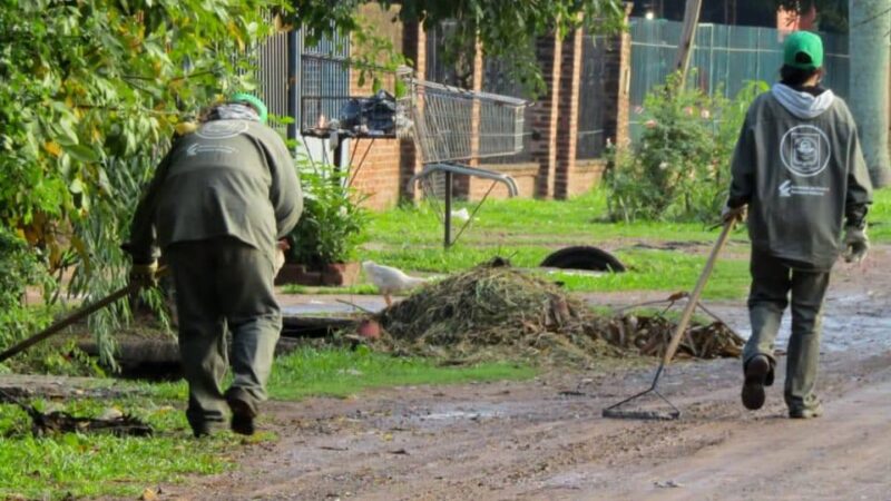 Cuadrillas de la Municipalidad de Vilelas intensifican trabajos de limpieza