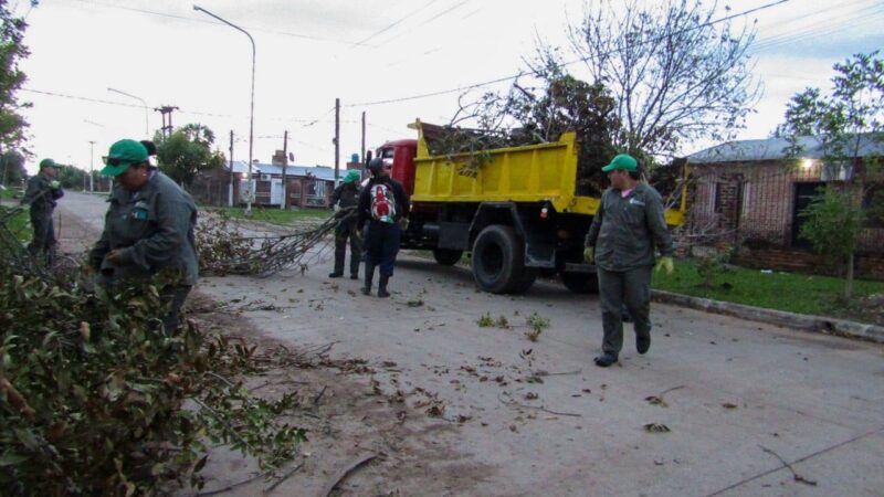 Luego del las inclemencias climáticas, el Municipio de Vilelas hizo recolección de ramas