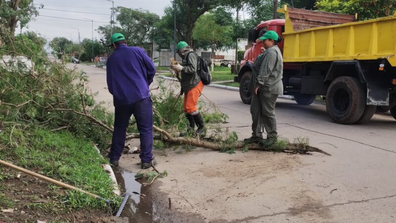 Empleados municipales llevan adelante limpieza en distintos puntos de Puerto Vilelas