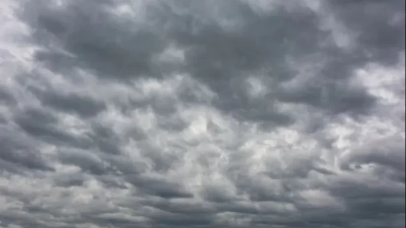 Domingo patrio gris