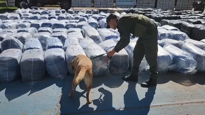 Millonario golpe al narcotráfico en Córdoba: incautan 7 mil kilos de hojas de coca