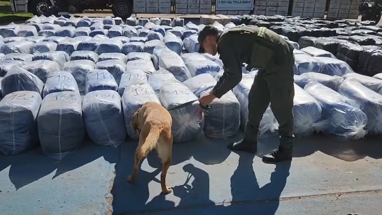 Millonario golpe al narcotráfico en Córdoba: incautan 7 mil kilos de hojas de coca