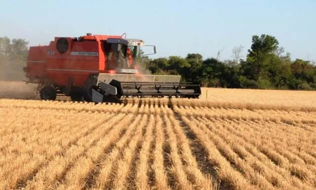 Aumentaron un 57,5% los patentamientos de maquinaria agrícola