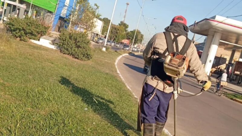 Se realizaron trabajos de  mantenimiento de espacios verdes en Barranqueras