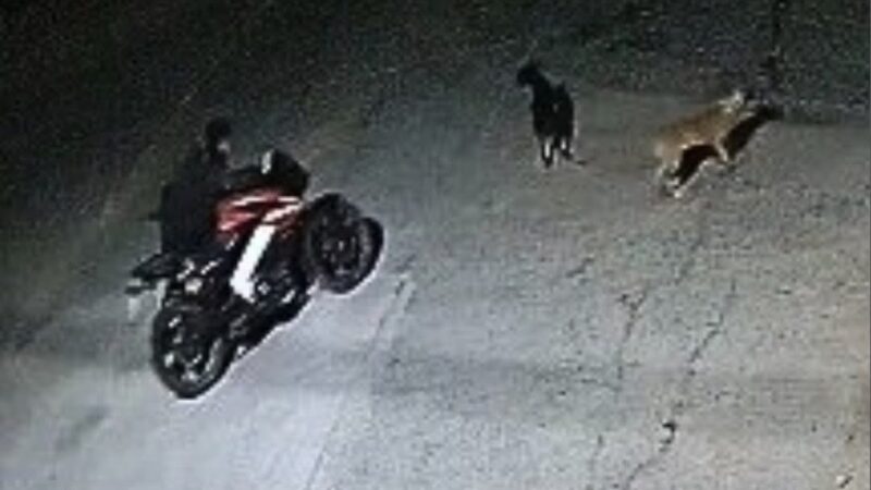 Vilelas: Recuperan motocicleta robada y detienen a un sospechoso en Resistencia