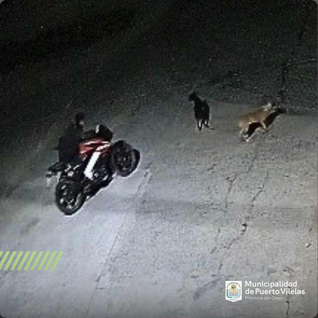 Vilelas: Recuperan motocicleta robada y detienen a un sospechoso en Resistencia