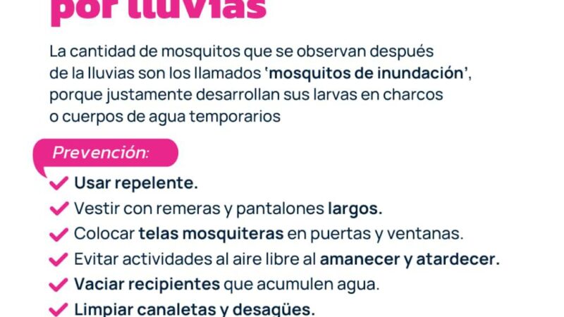 Desde el gobierno provincial llaman a cuidarse  de los llamados “Mosquitos de inundación”