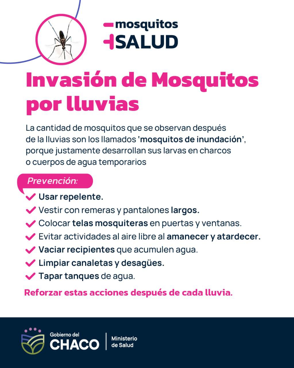 Desde el gobierno provincial llaman a cuidarse  de los llamados “Mosquitos de inundación”