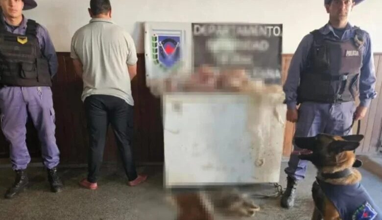 Resistencia: tras operativos incautan 10 kilos de carne vacuna y detienen a una persona