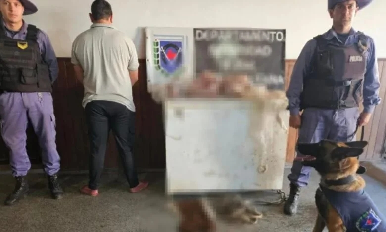 Resistencia: tras operativos incautan 10 kilos de carne vacuna y detienen a una persona