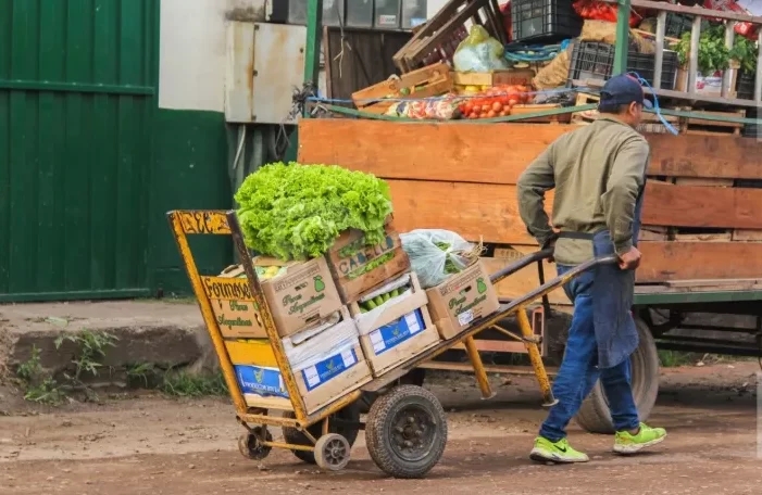 El Mercado Frutihortícola de Resistencia será administrado por la Municipalidad