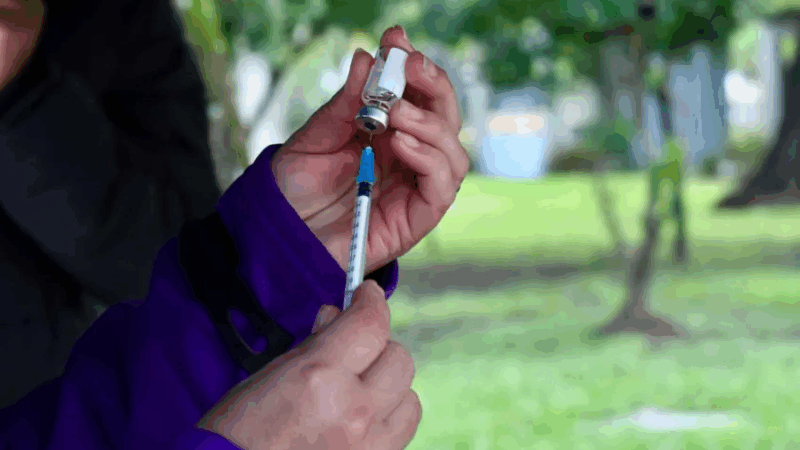 Se realizan vacunaciones contra el dengue y otras enfermedades en la plaza 25 de Mayo