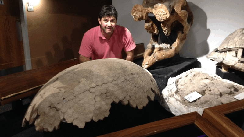 El Museo Schulz invita a una charla sobre mamíferos prehistóricos del Chaco