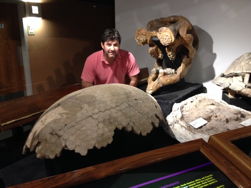 El Museo Schulz invita a una charla sobre mamíferos prehistóricos del Chaco
