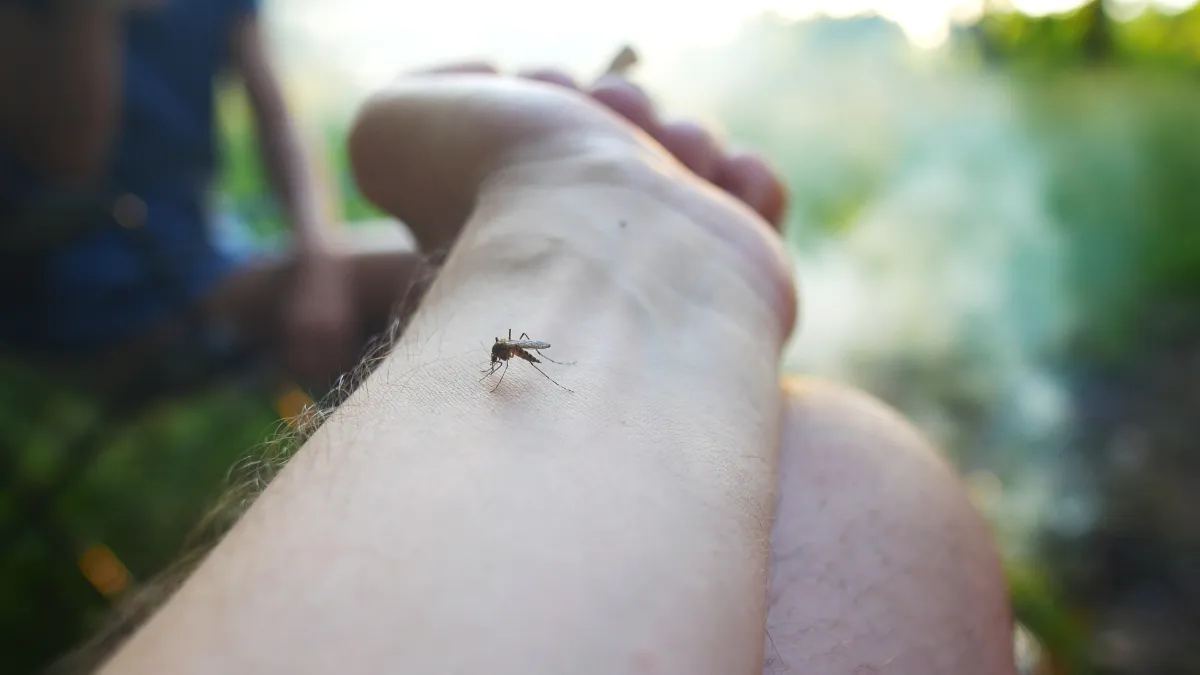 Alarma por aumento de casos de dengue en Santa Fé