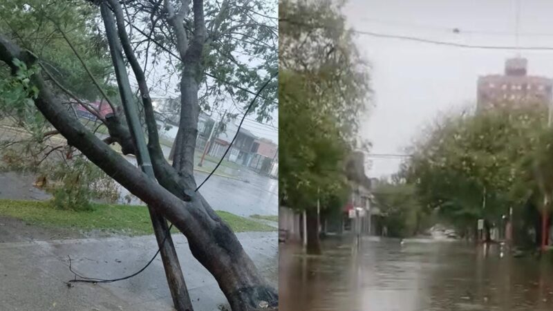 Fuerte tormenta en Resistencia: calles inundadas, árboles caídos y suspensión del servicio de colectivos