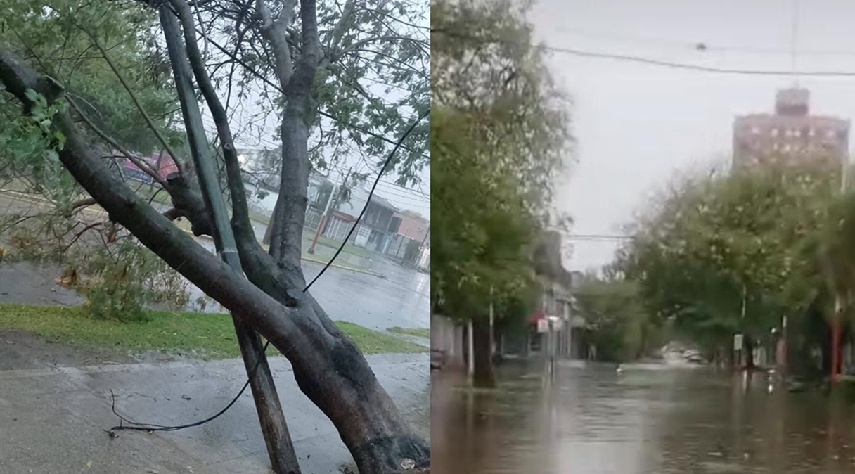 Fuerte tormenta en Resistencia: calles inundadas, árboles caídos y suspensión del servicio de colectivos
