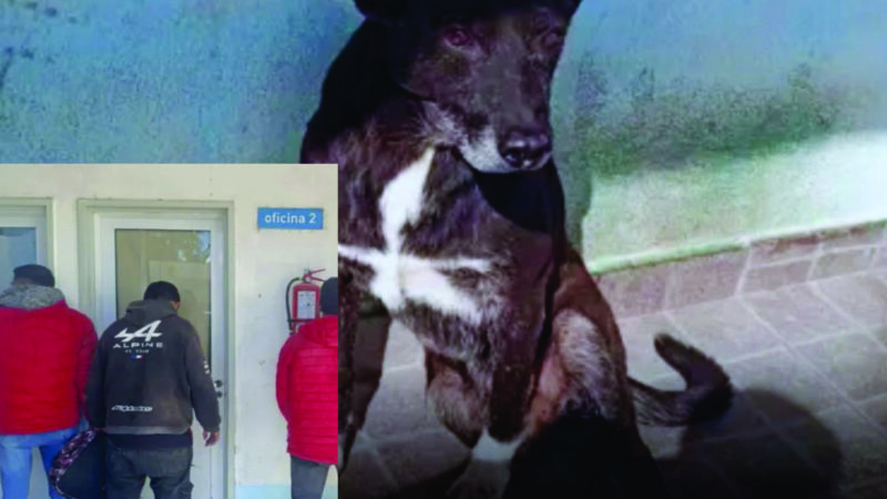 Tres hombres fueron arrestados tras intentar agredir a dos perros que viven en la Comisaría Segunda de Barranqueras