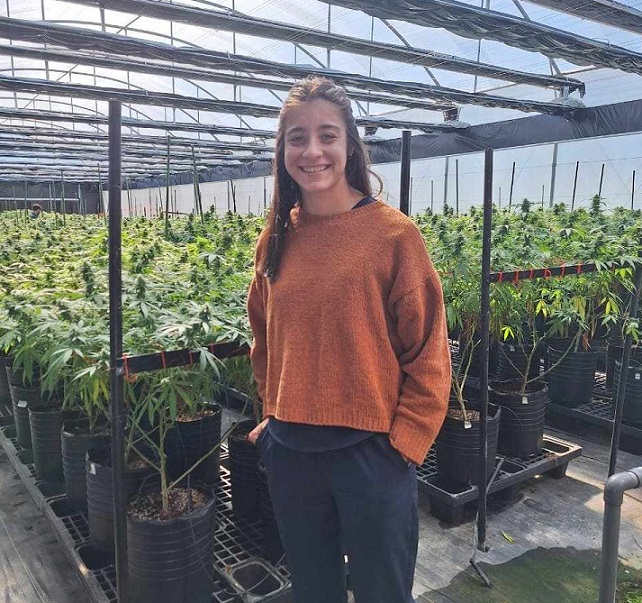 Una investigación veterinaria busca respuestas en la relación cannabis-sistema nervioso