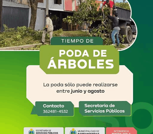 La Municipalidad de Barranqueras inicia operativo de poda de árboles
