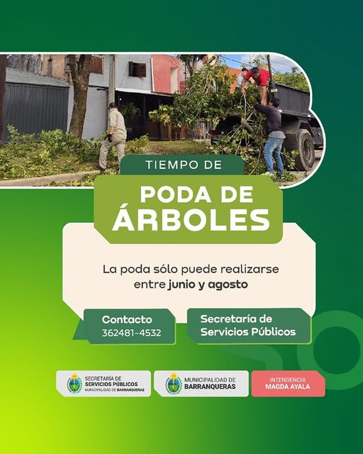 La Municipalidad de Barranqueras inicia operativo de poda de árboles