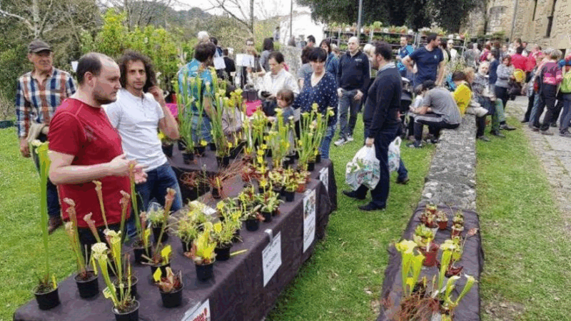Encuentro de Intercambio de conocimientos sobre jardinería