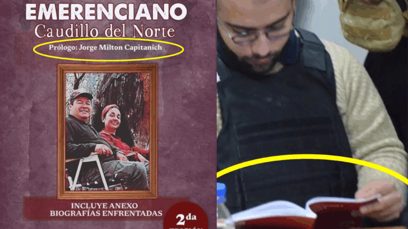 Caso Cecilia: ¿Posible mensaje de César Sena para Capitanich?